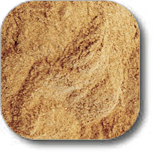 wild mushroom powder