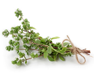 history of marjoram