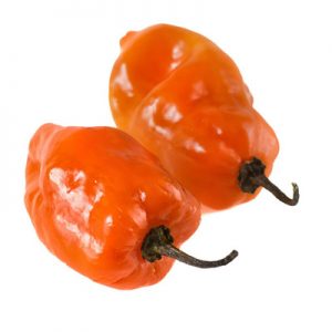 Habanero Chile Pepper Facts