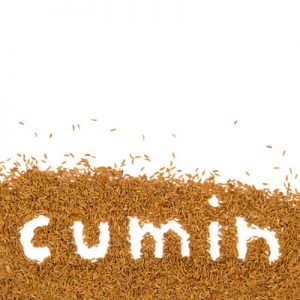 cumin in bulk