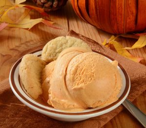 Pumpkin Spice Ice Cream