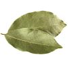 Are Bay Leaves Dangerous to Eat? Are Bay Leaves Dangerous to eat?
