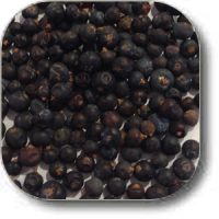 Juniper Berries