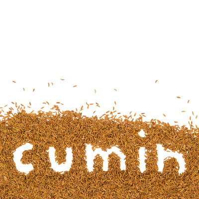 cumin in bulk