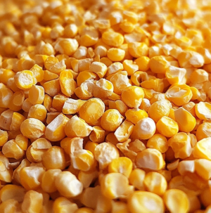 Dehydrated Corn