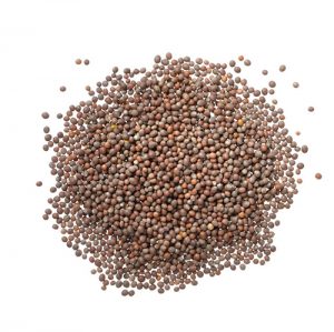 Brown Mustard Seeds