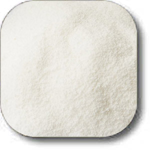 Coconut Cream Powder