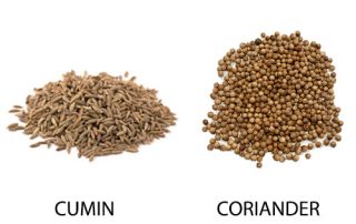 Difference between Cumin and Coriander