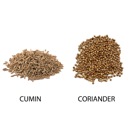 Difference between Cumin and Coriander