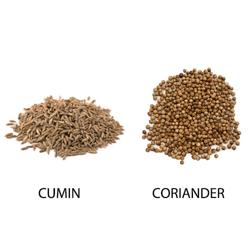https://www.myspicer.com/wp-content/uploads/cumin-coriander.jpg?utm_source=chatgpt.com