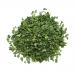 Dried Chives