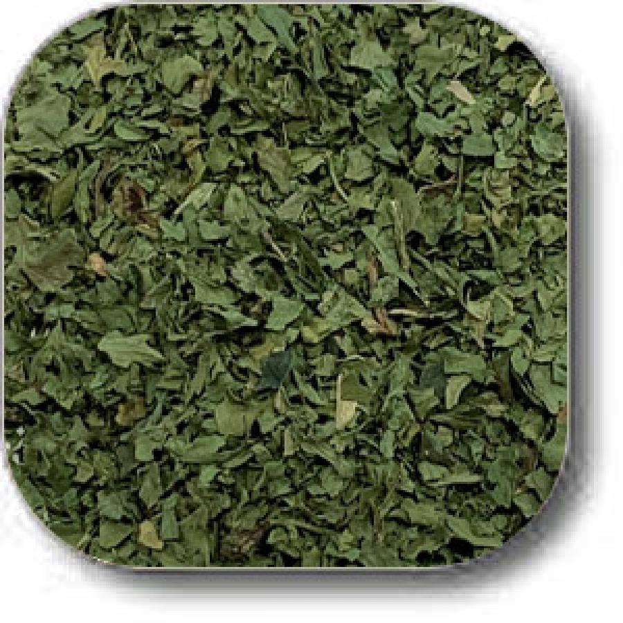 Cilantro Flakes Dried Herbs in Bulk