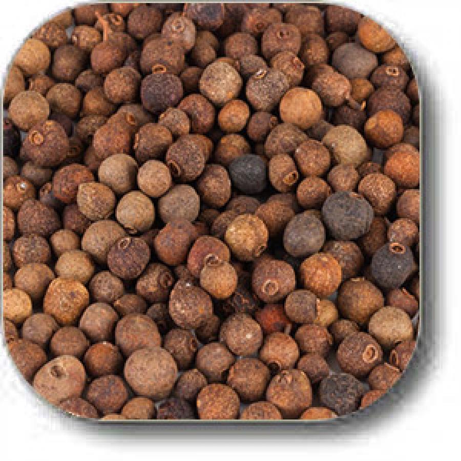 Whole Allspice Wholesale