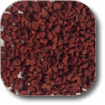 annato-seeds-whole