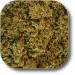 sage