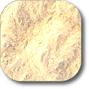 Malt Vinegar Powder