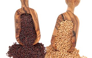 Difference between yellow and brown mustard seeds