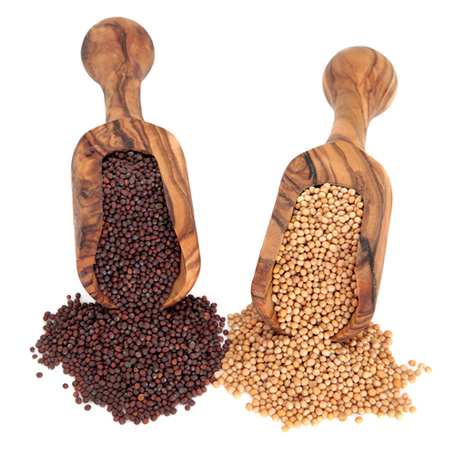 Difference between yellow and brown mustard seeds