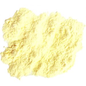 Orange Juice Powder