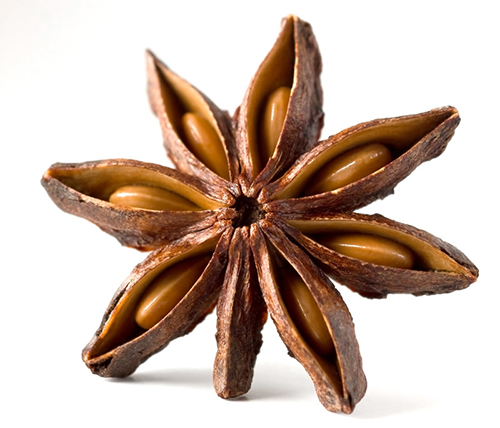 Are Anise and Star Anise The Same Thing? | MySpicer