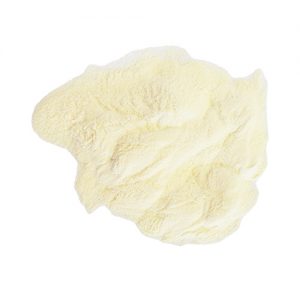 Whey Powder