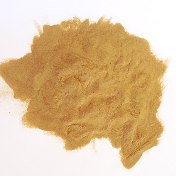 Worcestershire Powder | Wholesale | MySpicer.com