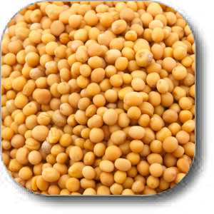 Yellow Mustard Seeds