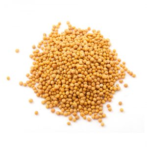 MUSTARD SEED (YELLOW) - Image 2